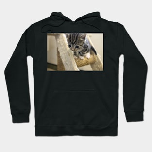 Helpz!!! Hoodie